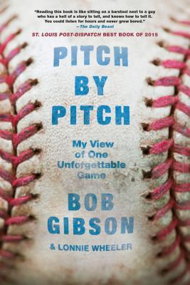 Pitch by Pitch: My View of One Unforgettable Game