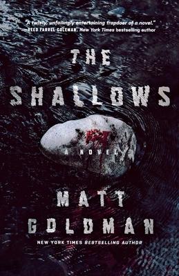 The Shallows: A Nils Shapiro Novel