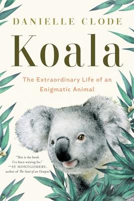 Koala: The Extraordinary Life of an Enigmatic Animal