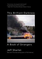 This Brilliant Darkness: A Book of Strangers Subscription