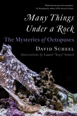 Many Things Under a Rock: The Mysteries of Octopuses