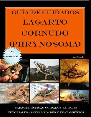 Gua de cuidados del lagarto cornudo (Phrynosoma) Versin econmica