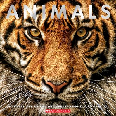 Animals: Witness Life in the Wild Featuring 100s of Species