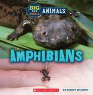 Amphibians (Wild World: Big and Small Animals) Subscription