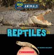 Reptiles (Wild World: Big and Small Animals) Subscription