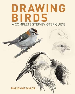 Drawing Birds: A Complete Step-By-Step Guide