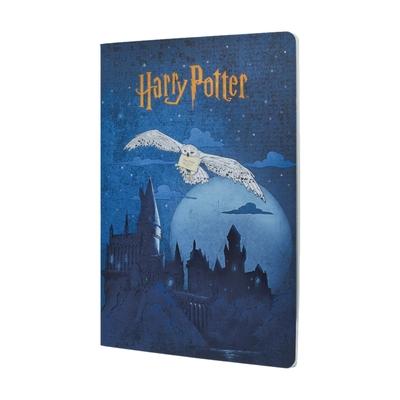 Escape to Hogwarts Notebook A4 Unlined Cahier, 80pg, 100gsm by Paperblanks (Harry Potter Collection) Subscription