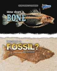 How Does a Bone Become a Fossil? Subscription