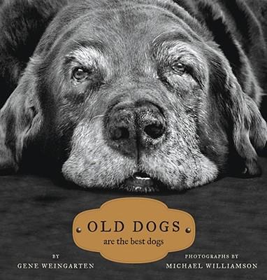 Old Dogs: Are the Best Dogs