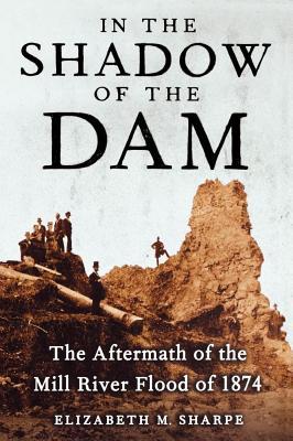 In the Shadow of the Dam: The Aftermath of the Mill River Flood of 1874