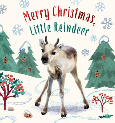 Merry Christmas, Little Reindeer: A Board Book