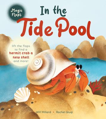 In the Tide Pool: A Magic Flaps Book