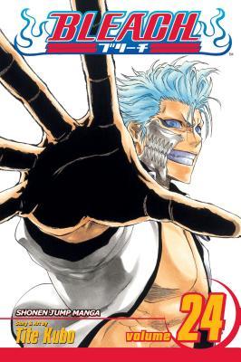 Bleach, Vol. 24 [With Sticker]