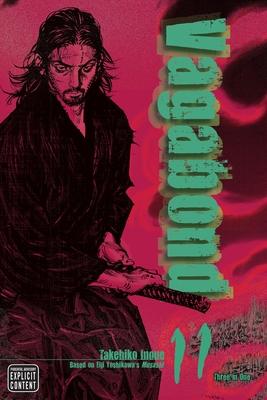 Vagabond (Vizbig Edition), Vol. 11 Subscription