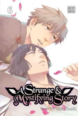 A Strange & Mystifying Story, Vol. 6 Subscription
