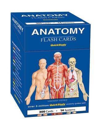 Anatomy Flash Cards: A Quickstudy Reference Tool