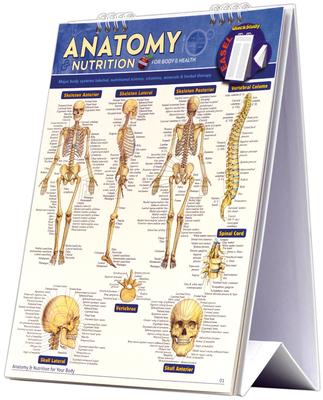 Anatomy & Nutrition for Body & Health Easel Book: A Quickstudy Reference Tool with Major Body Systems Labeled, Nutritional Science, Vitamins, Minerals