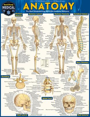 Anatomy: Quickstudy Laminated Reference Guide Subscription