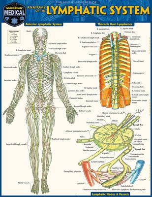 Anatomy of the Lymphatic System: A Quickstudy Laminated Reference Guide Subscription