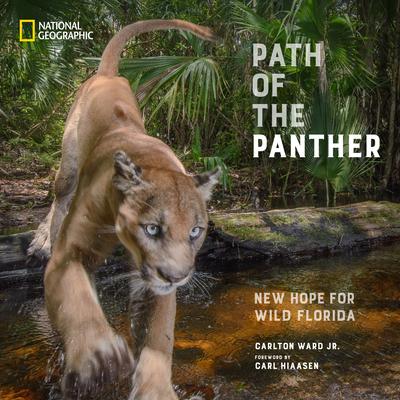 Path of the Panther: New Hope for Wild Florida