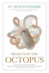 Secrets of the Octopus Subscription