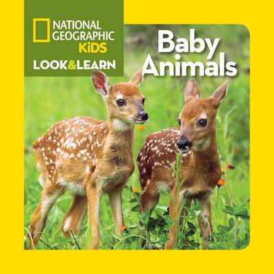 Baby Animals