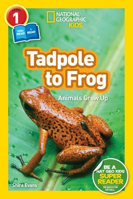 Tadpole to Frog (National Geographic Kids Readers, Level 1/Co-Reader): Animals Grow Up