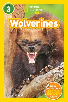 Wolverines (National Geographic Kids Readers, Level 3)