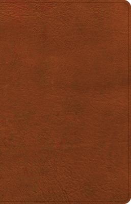 NASB Large Print Thinline Bible, Burnt Sienna Leathertouch