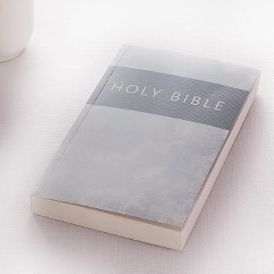 KJV Budget Softcover Silver