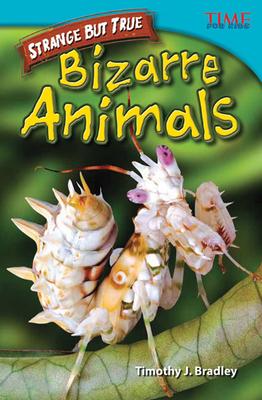 Strange But True: Bizarre Animals: Bizarre Animals