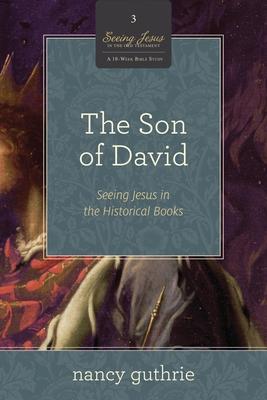 The Son of David: Seeing Jesus in the Historical Books (a 10-Week Bible Study) Volume 3 Subscription