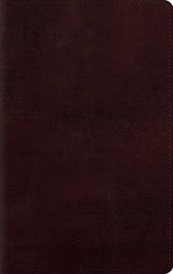 Large Print Personal Size Bible-ESV