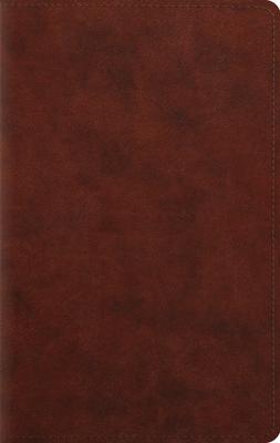 Large Print Personal Size Bible-ESV