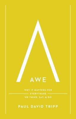 Awe: Why It Matters for Everything We Think, Say, and Do