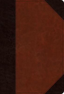 ESV Student Study Bible (Trutone, Brown/Cordovan, Portfolio Design)