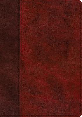 ESV Single Column Journaling Bible, Large Print (Trutone, Burgundy/Red, Timeless Design)