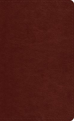 ESV Pocket Bible (Trutone, Chestnut)