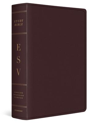 ESV Study Bible, Large Print (Bonded Leather, Burgundy) Subscription