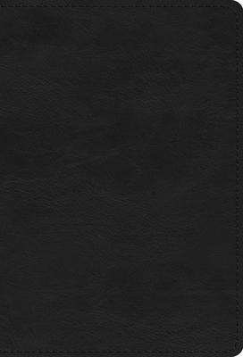 ESV Large Print Compact Bible (Trutone, Black)