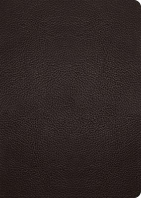 ESV Study Bible, Large Print (Buffalo Leather, Deep Brown)