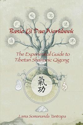 Basic Qi Dao Workbook: The Experiential Guide To Tibetan Shamanic Qigong