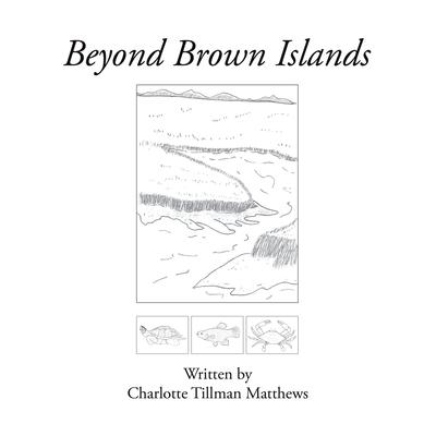 Beyond Brown Islands