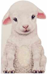 Furry Lamb Subscription