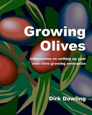 Growing Olives: Information On Setting Up Your Own Olive Growing Enterprise