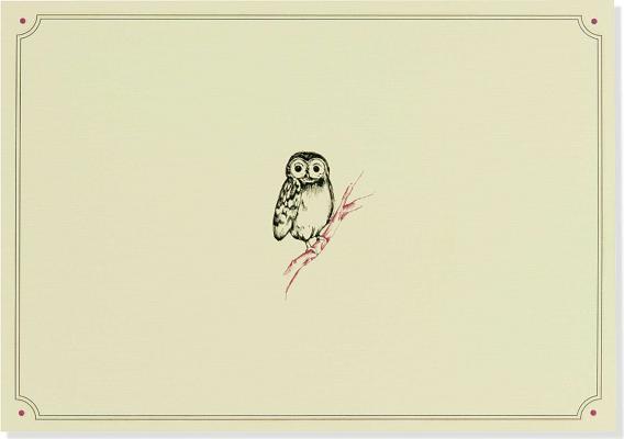 Note Card Owl Portrait