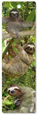 Sloths 3-D Bookmark