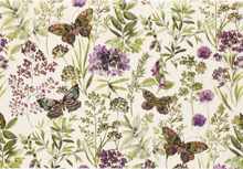 Amethyst Butterflies Note Cards