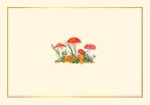 Mushrooms Note Cards (14 Cards, 15 Self-Sealing Envelopes)