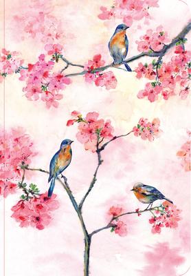 Cherry Blossoms in Spring Journal (Diary, Notebook)